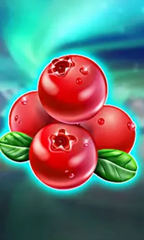Winterberries